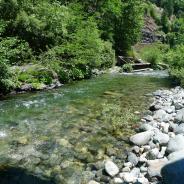 Indian Creek at Doolittle Creek bridge