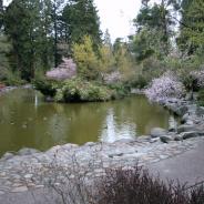 Upper Duck pond, Lithia Park, Ashland