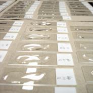 Waterborn actinospores being dried onto glass slides.
