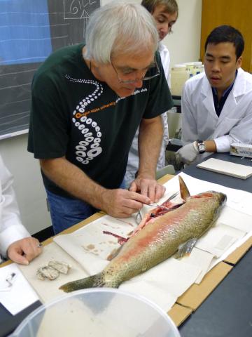 Craig Banner (ODFW) demonstrating a fish dissection.