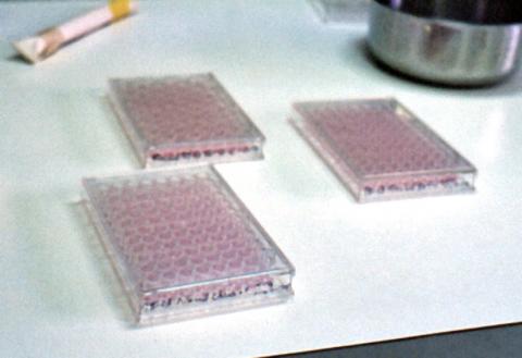 Cell well culture plates for virus testing