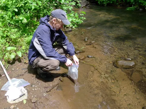 Sampling sediment in Cogswell Creek.