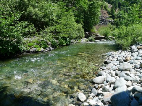 Indian Creek at Doolittle Creek bridge