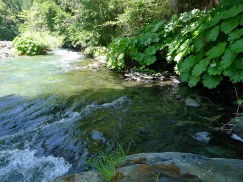 Indian Creek at Doolittle Creek bridge