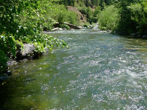 Indian Creek at Doolittle Creek bridge