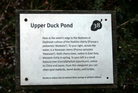 Upper Duck pond, Lithia Park, Ashland