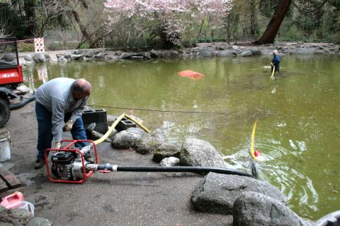 Upper Duck pond, Lithia Park, Ashland