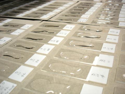 Waterborn actinospores being dried onto glass slides.