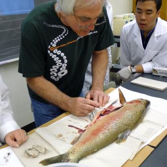 Craig Banner (ODFW) demonstrating a fish dissection.