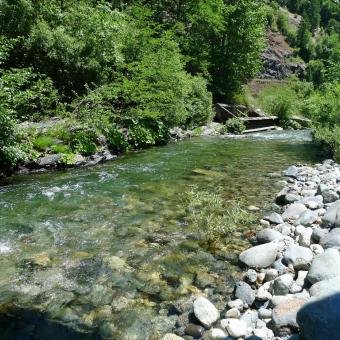 Indian Creek at Doolittle Creek bridge