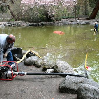 Upper Duck pond, Lithia Park, Ashland