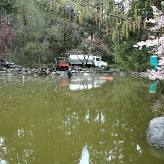 Upper Duck pond in Lithia Park, Ashland, during cleanout in 2008.