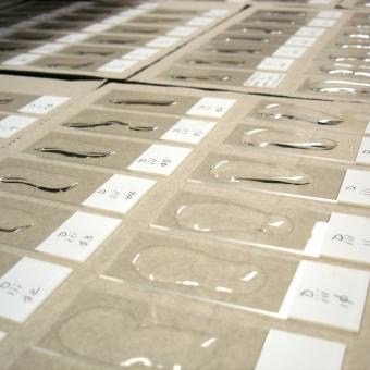 Waterborn actinospores being dried onto glass slides.