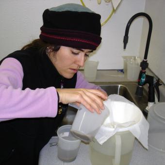 Water filtration to detect M. cerebralis triactinomyxon spores.