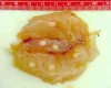 Fish muscle with white Henneguya salminicola cysts.
