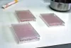 Cell well culture plates for virus testing
