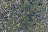 Steelhead/rainbow trout