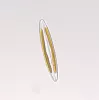 Diatom.