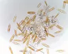 Diatoms: commonly seen in skin scrapes of fish.