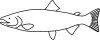 Generic line drawing of a salmon